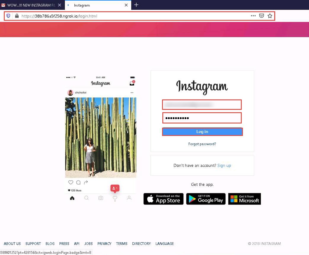 instagram.jpg